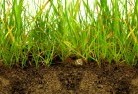 Far Meadowsub-soil-drainage-6.jpg; ?>
